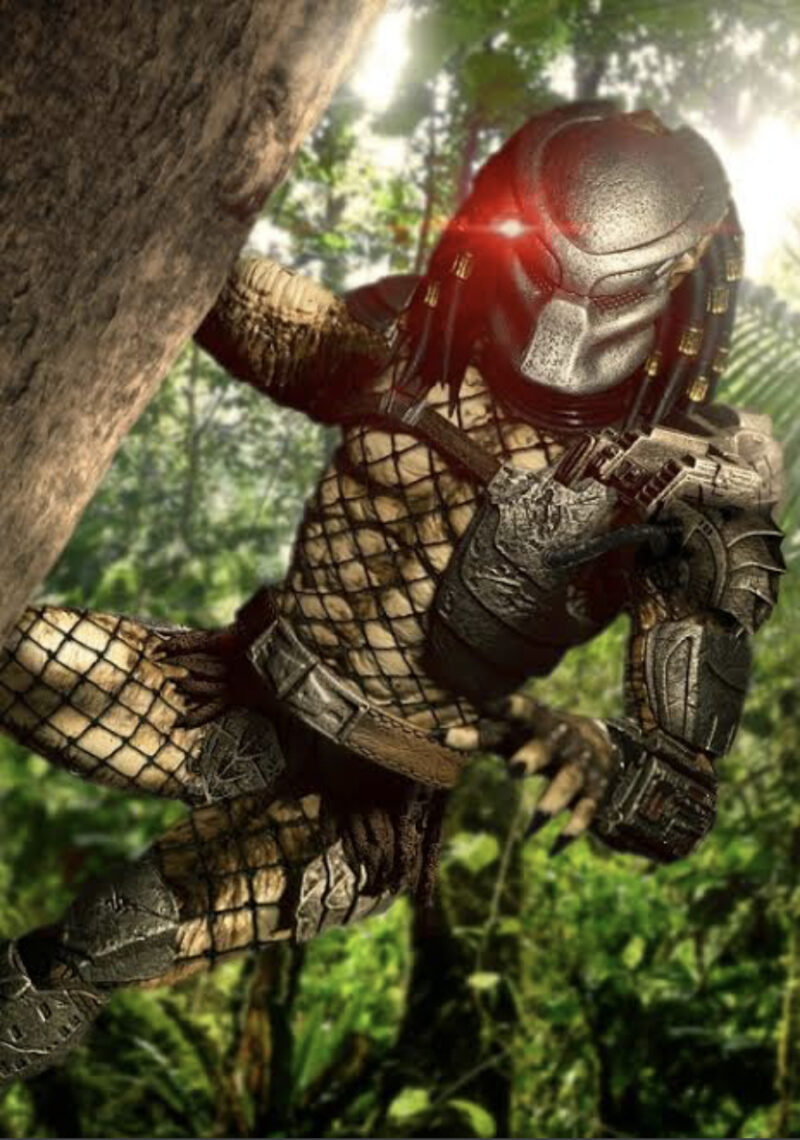 Predator