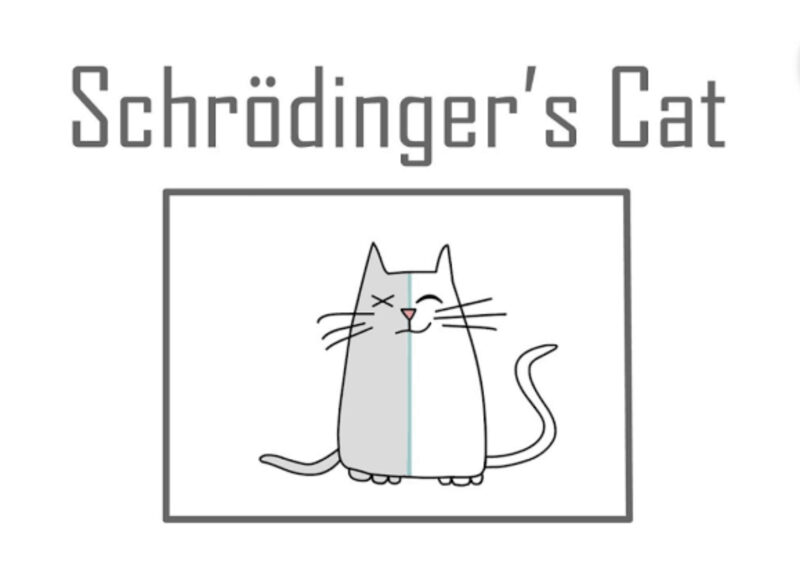 Schrodinger's cat